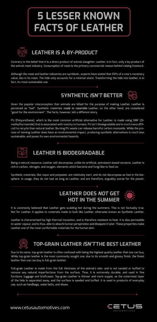 5 Lesser Known Facts about Leather - Infographic